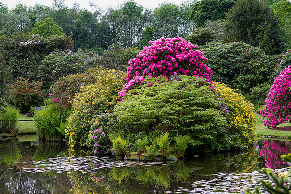 Bidulph Grange Gardens